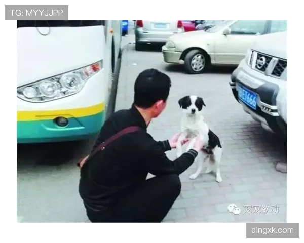 崔家溪下班开着跑车去菜市场，旁边大妈还跟他砍价